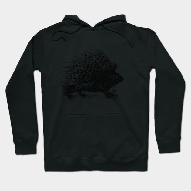 Porcupine strutting along... Hoodie by angipangi7